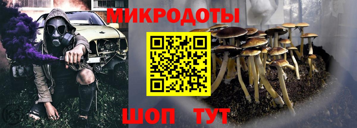 хочу наркоту  Псилоцибиновые грибы прущие грибы  Вход с VPN  Россошь 